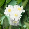 Flash Sale Erstwilder Day's Eye Broche