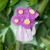 Store Erstwilder Garden Star Broche