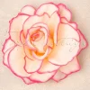 New Topvintage Boutique Collection Ravishing Rose Haarclip In Roze