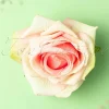 Discount Banned Retro Scented Love Flower Haarclip In Blush
